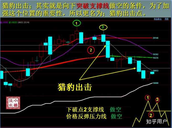 广东湛江：中华白海豚种群稳定 生态保护显成效