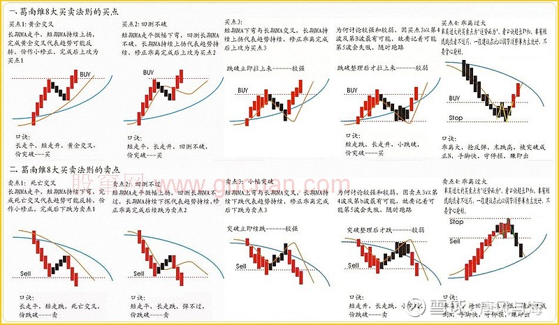 最高资助额度超200万元！中山大学启动青年科学家培育项目