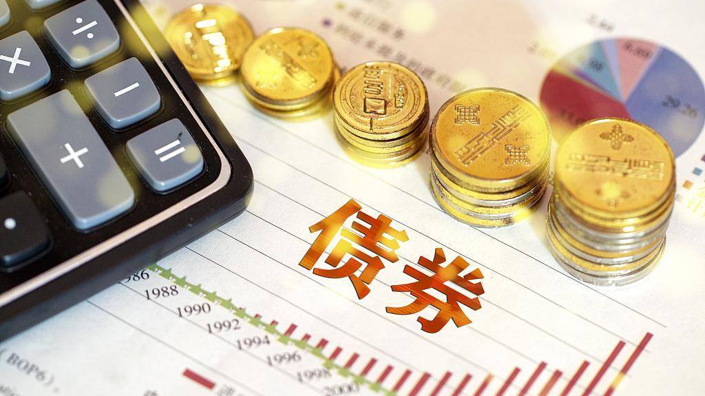 中国进出口银行前5个月投放对外贸易领域贷款4600亿元